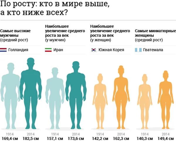 Средний рост мужчины в мире, России. Рост по расам, национальностям, народам. От чего зависит